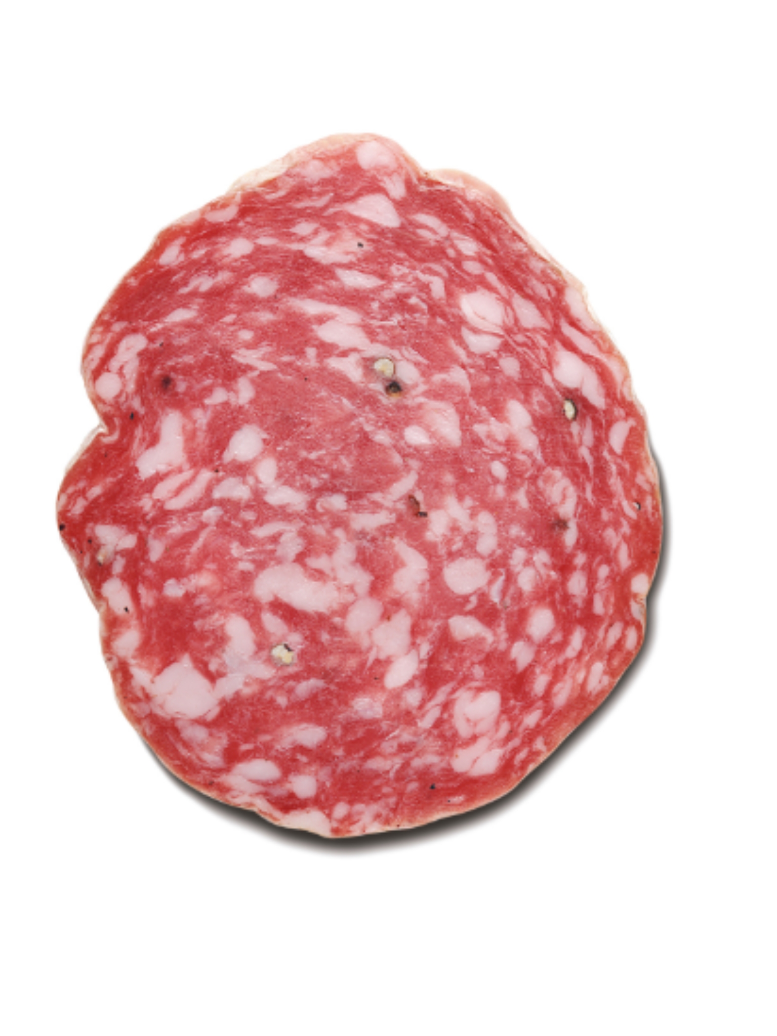SAUCISSON SOPRESSA VENETA LEVONI